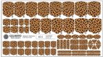 folie-unghii-picioare-model-leopard-auriu-coala-completa-ac-2